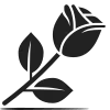 compétences (5)
